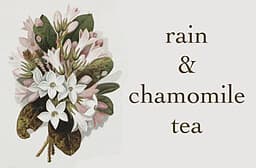 Rain & Chamomile Tea cover