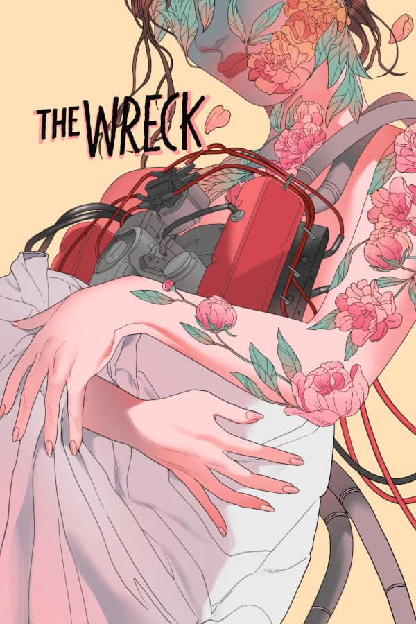The Wreck cover