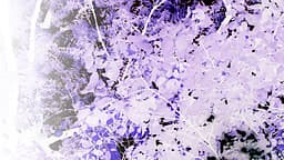 two of swords cover