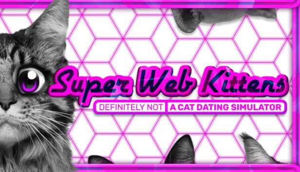 Super Web Kittens cover