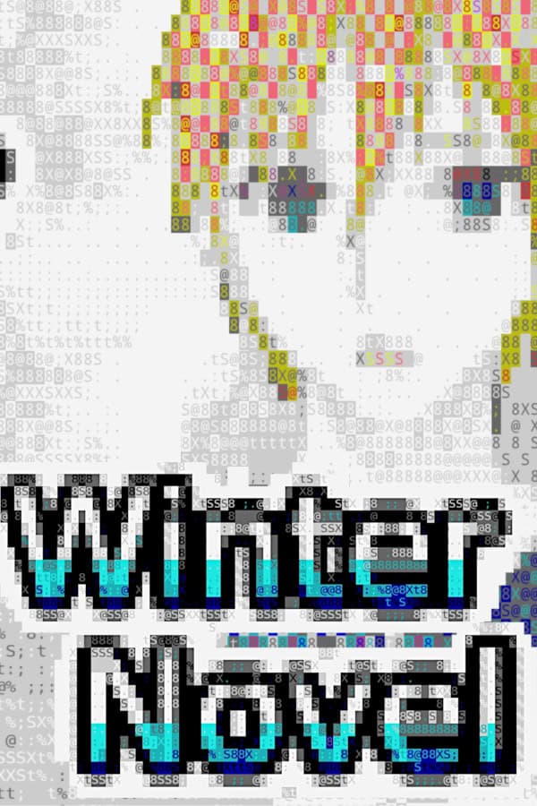 Winter Novel cover