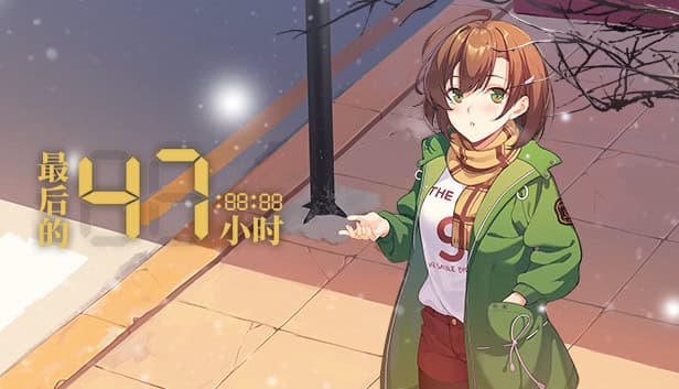 The Last 47 Hours cover