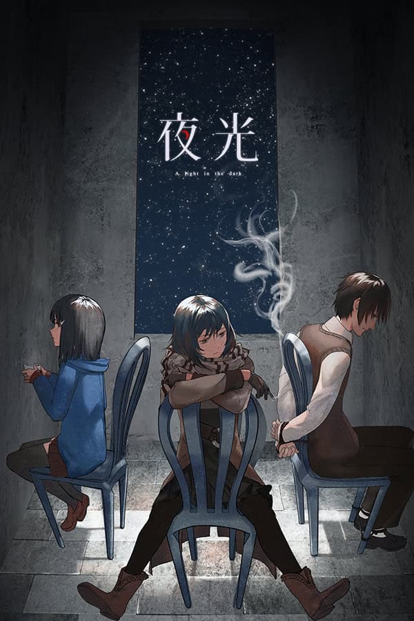 A Light in the Dark cover