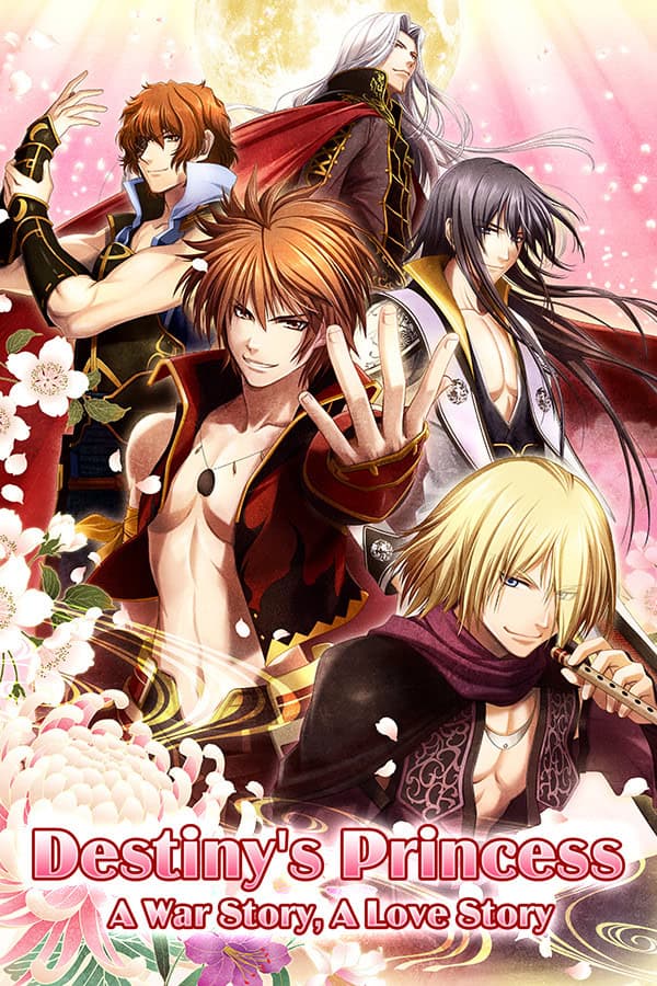Forbidden Romance:Destiny's Princess cover