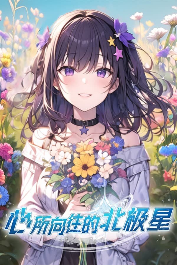 The North Star of the Heart cover