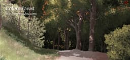 Colors/Forest cover