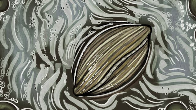 Waste Water cover