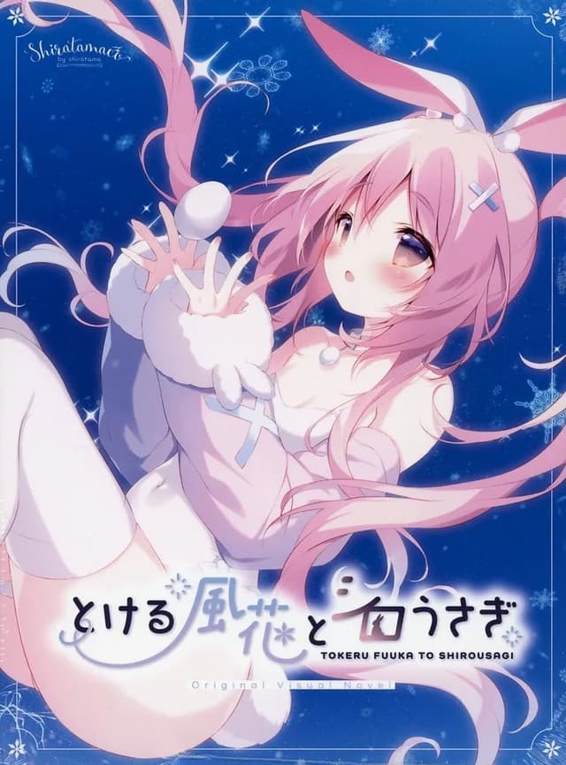 Tokeru Fuuka to Shirousagi cover