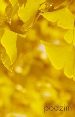autumn cover