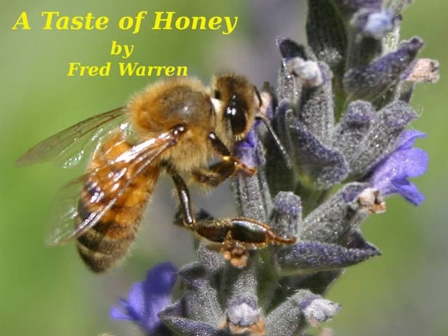 A Taste of Honey cover