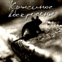 Krysinoe Voskresen'e cover
