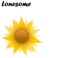 Lonesome cover