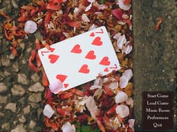 51 cards cover