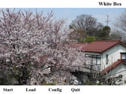 White Box cover