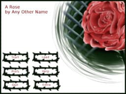 A Rose by Any Other Name cover