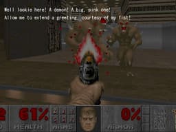 Diaries of the Doomguy cover
