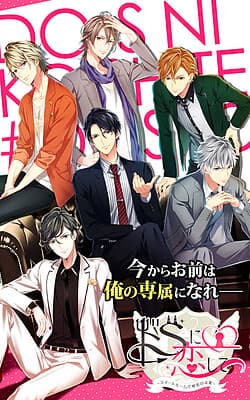 Several Shades Of S cover