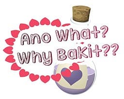 Ano What? Why Bakit?? cover