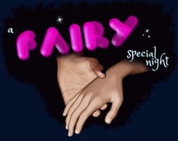 A Fairy Special Night cover