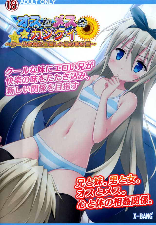 Osu to Mesu no Kankei ~Cool na Imouto to Atsukurushii Ore no Ano Natsu~ cover