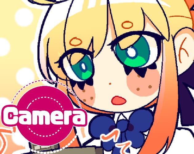 Camera cover