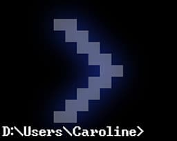 D:\Users\Caroline> cover