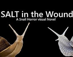 SALT in the wound cover