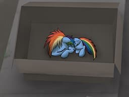 My Little Dashie cover