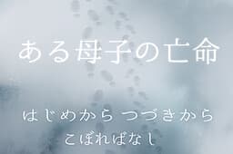 Aru Boshi no Boumei cover