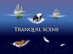 TRANQUIL SCENE Stars are collected cover