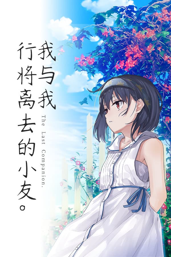 Wo yu Wo Xingjiang Liqu de Xiaoyou. cover
