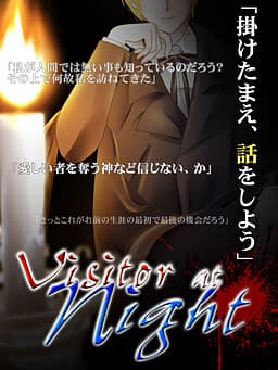 Visitor at night cover