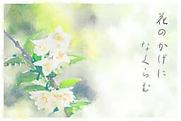 Hana no Kage ni Nakuramu cover