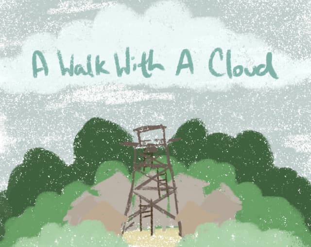 A Walk With A Cloud cover