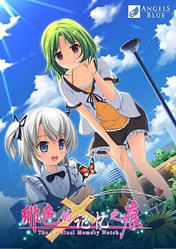 Fei Se de Jiyi zhi Hen cover