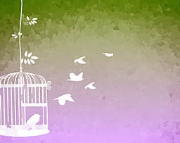 Elegy for a Songbird cover