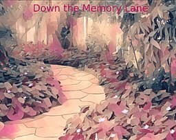 Down the Memory Lane cover