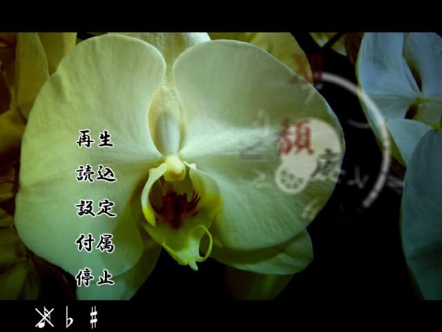 Taihai Nostalgia cover