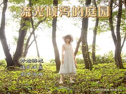 Liuguang Qingxie de Tingyuan cover