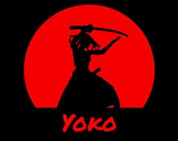 Yoko cover