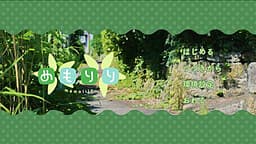memolily cover