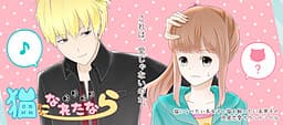 Neko ni Nareta nara cover