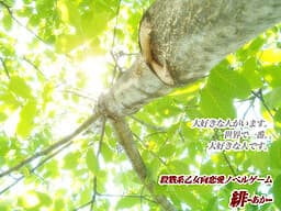 Hi -Aka- cover