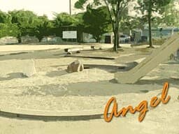 Angel cover