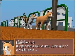 Neko no Namae wa Saemon Nosuke cover