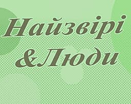 Nayzviri & Lyudy cover