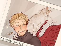 VALENTINES DAY: HAWKS cover