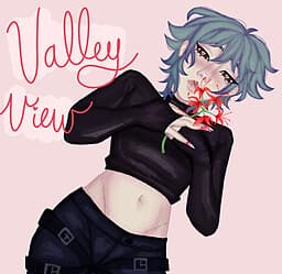 Valley View cover