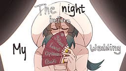 The Night Before My Wedding cover