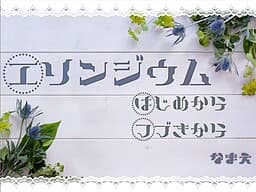 Eryngium cover